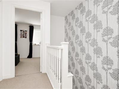 Picture 16